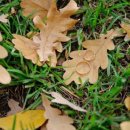 더나은커뮤니티 이미지