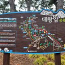 방어진어촌계슬도활어직판장 이미지