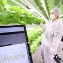 스마트팜 이미지