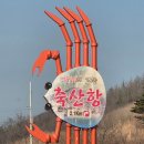 청호약국 | [202602] 식고문 이슈로 소화제와 함께한 강원도 속초 &amp; 강릉 여행기