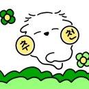 그모