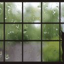 Pluie Dete (여름비) / Gheorghe Zamfir 이미지