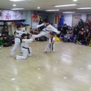용인대엘리트태권도 이미지