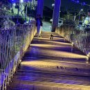 용연천 | 제주공항 근처 가볼만한곳 용연구름다리 야경 제주 애견동반 여행