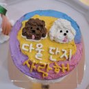 펫푸드스쿨 네이버블로그