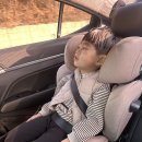오렌지솔루션 | 내돈내산 주니어카시트 싸이벡스 솔루션티플러스 사용후기