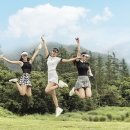 럭키버디 이미지