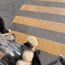 머거두댕 이미지