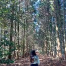 성읍(단일로) 이미지