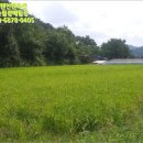 시산리(남) 이미지