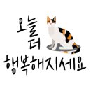힐펫 이미지