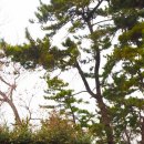 아미산파크 이미지