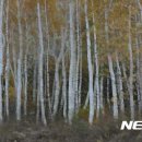 사진이야기 - 제주시 관덕로 36 | 사진이야기