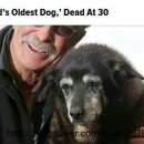 불당동물병원 이미지