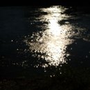 달강이네 이미지