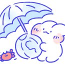 솜올켓