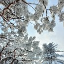 남한산성 이미지