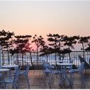 청년들의 무모한