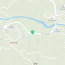 산수유꽃길민박 이미지