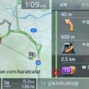 삼부자미나리 이미지