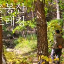 솔바람 물결소리 이미지