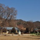 회천서초교 이미지