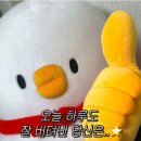 그럼에도 불구하고 즐겁게 🎶 이미지