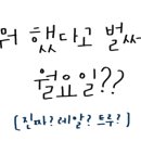 홀섬민박