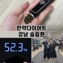 서초대로29길 10-13 | 한약다이어트 후기 강남 슬림환으로 10주차 -8kg 감량 성공