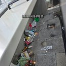 주식회사 블루환경