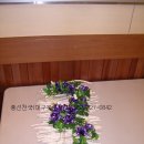 풍선천국 Daum카페