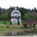 파인트리펜션 이미지