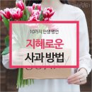 지혜의 사과 네이버블로그