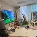 삼광주유소 - 예산군 예산로 67 | 최신 근황 ~부산 여행기~