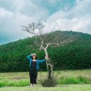 제주영상여행사 이미지