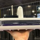 Beauty in Dog's 이미지