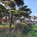 운봉읍 삼산마을 이미지