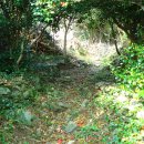 대우네민박 이미지