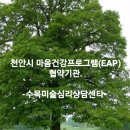 마음을나누는미술심리상담 이미지