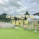 꼬숩당개 | [천안] 아산 애견카페 &#39;꼬숩당개&#39; 다녀온 솔직후기