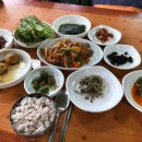 고속기사님식당 네이버블로그