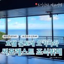 forest | 호텔 몬토레 오키나와 스파&amp;리조트 (2) || 씨포레스트(Sea Forest) 조식 뷔페 후기