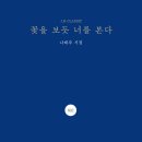 보듯