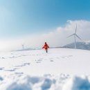 삼양카인테리어 이미지