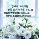 간추린 뉴스 이미지