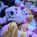 비치인형뽑기방 이미지