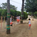 오목초등학교병설유치원 이미지