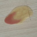 거산동물병원 이미지