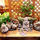 안성민치과의원 이미지