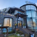 우다다애견 이미지